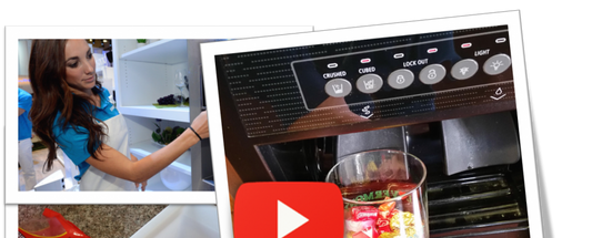 Happy Halloween! With Candy in the Refrigerator Ice Dispenser!